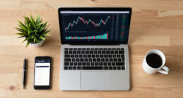 15 Best Investment Portfolio Management Tools in 2026